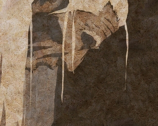 ヤマモトマサアキ・画