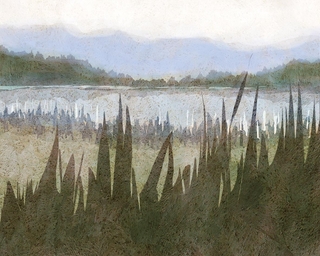 ヤマモトマサアキ・画