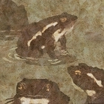 ヤマモトマサアキ・画