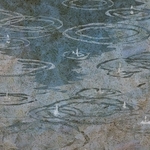 ヤマモトマサアキ・画