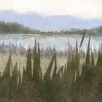 ヤマモトマサアキ・画