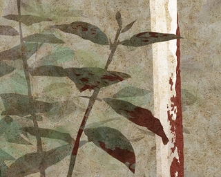 ヤマモトマサアキ・画