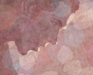ヤマモトマサアキ・画