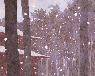 ヤマモトマサアキ・画