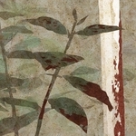 ヤマモトマサアキ・画