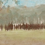 ヤマモトマサアキ・画