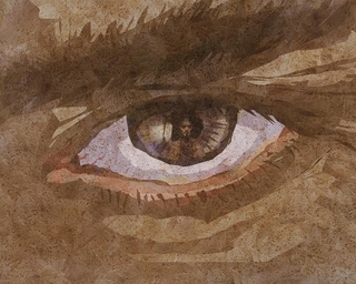 ヤマモトマサアキ・画