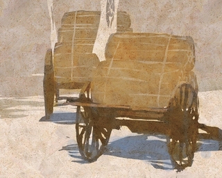 ヤマモトマサアキ・画