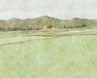 ヤマモトマサアキ・画