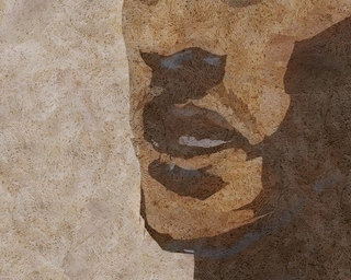 ヤマモトマサアキ・画