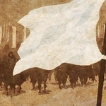 ヤマモトマサアキ・画