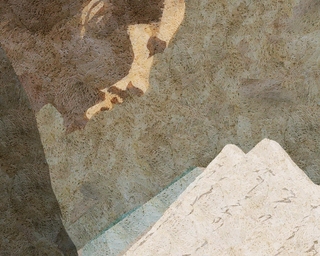 ヤマモトマサアキ・画