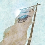 ヤマモトマサアキ・画