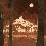 ヤマモトマサアキ・画