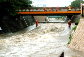 増水した都賀川で流された人を捜索する神戸市消防局の隊員＝２００８年７月２８日午後、神戸市灘区