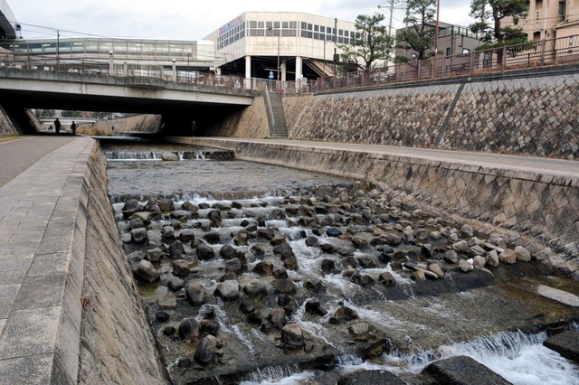 アユが遡上するために整備された魚道＝東灘区魚崎西町