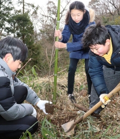 ヤマザクラの植樹を行う参加者たち＝東灘区本山町田辺