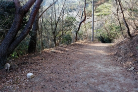 江戸時代に東灘と芦屋住民の水争いの場になった「土樋割峠」＝神戸と芦屋の市境