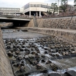 アユが遡上するために整備された魚道＝東灘区魚崎西町