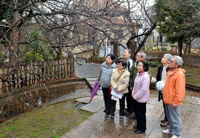 春になるとピンクの花を咲かせる多くの桜が植えられている＝岡本南公園