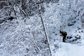 樹氷のアーチをくぐって坂を下りた＝六甲山中