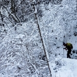 樹氷のアーチをくぐって坂を下りた＝六甲山中