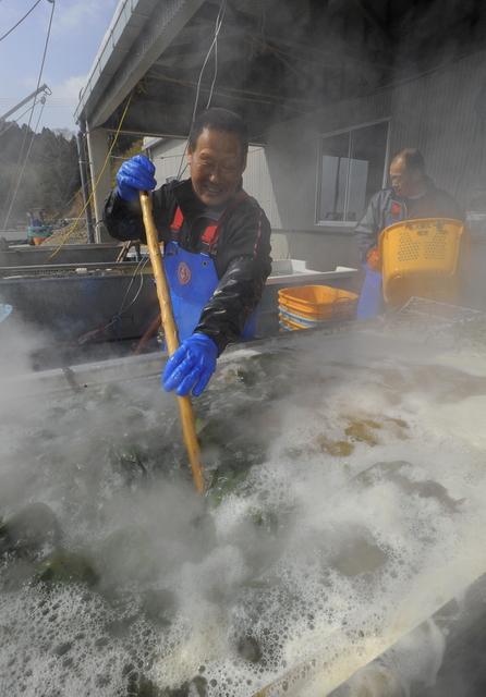 水揚げしたワカメを、沸騰する海水に漬ける千葉正志さん（中央）。右は弟の正友さん＝宮城県南三陸町歌津（撮影・宮路博志）
