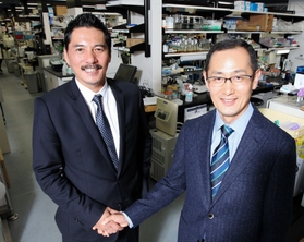 対談のため京都大ｉＰＳ細胞研究所を訪ね、山中伸弥教授（右）と握手する平尾誠二さん＝２０１３年１１月、京都市左京区