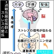 20110528a