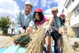 地域のお年寄りと一緒に稲の脱穀に挑む小学生たち＝三田市つつじが丘南３（撮影・大森　武）