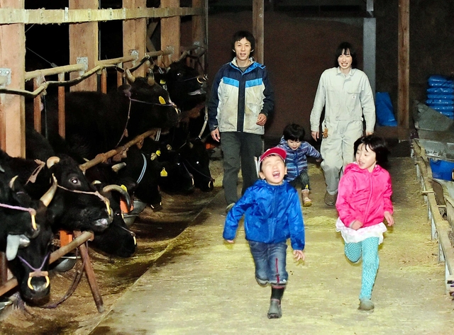 田中一馬さん（左奥）と妻あつみさん（右奥）。牛舎は３人の子の遊び場だ＝兵庫県香美町村岡区境（撮影・中西幸大）