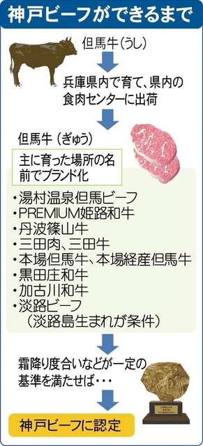 神戸新聞ＮＥＸＴ