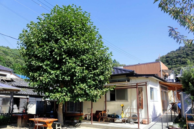 高齢者向け賃貸住宅「もくれんの家」。庭に大きなモクレンの木が育つ＝相生市
