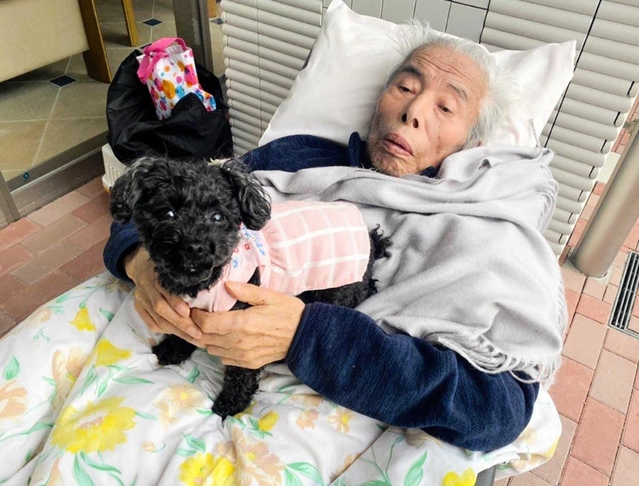病院の敷地内でペットのトイプードルと触れ合う金森英彦さん（宮本亜紀子さん提供）