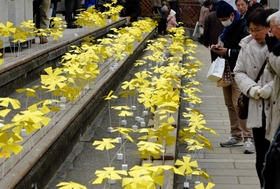 東遊園地の「阪神淡路大震災１・１７のつどい」会場に並べられた「シンサイミライノハナ」＝２０１５年１月１７日、神戸市中央区