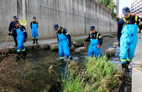 行方不明になった女児の手掛かりを探す兵庫県警機動隊員ら＝１３日午前８時２５分、神戸市長田区、新湊川