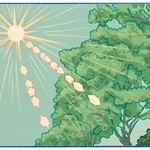 くわはらまい・画