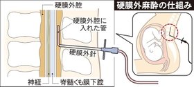 神戸新聞ＮＥＸＴ