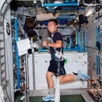 １３年１１月、運動器具でトレーニングする若田光一さん（国際宇宙ステーション、ＪＡＸＡ／ＮＡＳＡ提供）