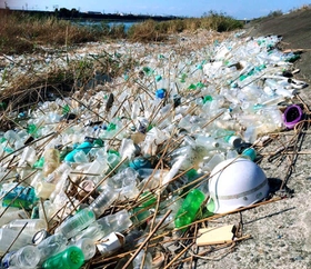 台風による増水後、名古屋市の庄内川の川岸に漂着した大量のプラスチックごみ＝２０１８年１０月（千葉賢・四日市大教授提供）