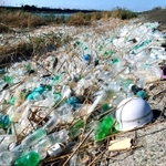 台風による増水後、名古屋市の庄内川の川岸に漂着した大量のプラスチックごみ＝２０１８年１０月（千葉賢・四日市大教授提供）