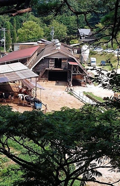 敷地内の高台から見える牛舎＝弓削牧場