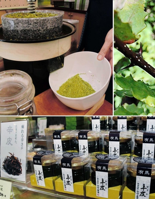 （右上）枝には鋭いとげがある（左上）粉末状になった有馬山椒（下）山椒の木の皮を使った佃煮「辛皮」＝神戸市北区有馬町