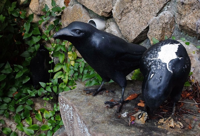 傷を癒やして温泉の存在を神に知らせたとされる３羽のカラスのオブジェ＝神戸市北区有馬町