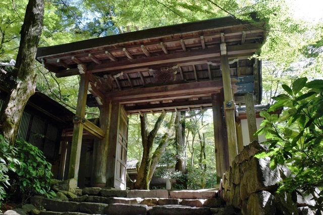 有馬大茶会や紅葉スポットとして知られる瑞宝寺公園＝神戸市北区有馬町