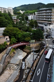 「日本三古湯」の一つに数えられる有馬温泉街＝神戸市北区有馬町（有馬御苑から撮影）
