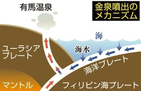 神戸新聞ＮＥＸＴ