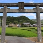 田園地帯にぽつんとたつ丹上神社の鳥居＝神戸市北区山田町東下