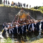 みこしを担いだまま志染川に入っていく担ぎ手たち＝神戸市北区山田町中