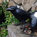 傷を癒やして温泉の存在を神に知らせたとされる３羽のカラスのオブジェ＝神戸市北区有馬町